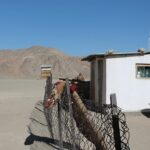 From Dushanbe to Wakhan corridor and back - Practical Details and Considerations