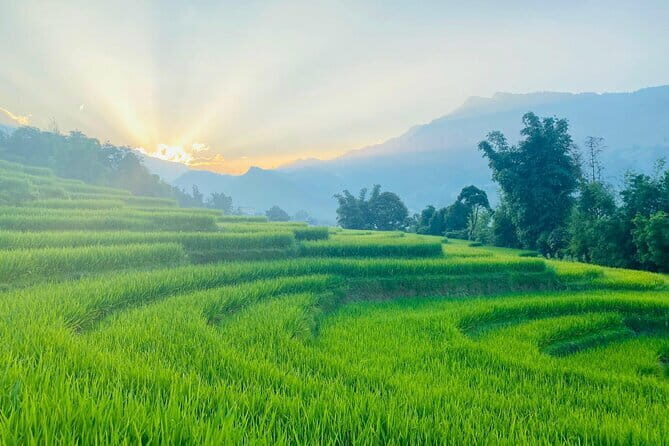 From Hà Ni ; Mu Cang Chai 3 Days 2 Nights By Car and Trekking - Practical Details & What to Expect