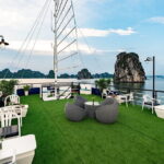 From Hanoi: 1-Day Halong 5-Star Cruises with Big & Small Groups - The Experience: Comfort, Food, and Culture