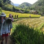 From Hanoi: 3 Days Luxury Sapa Trek & Fansipan Peak with Dcar - Authentic Experiences & Real Traveler Insights