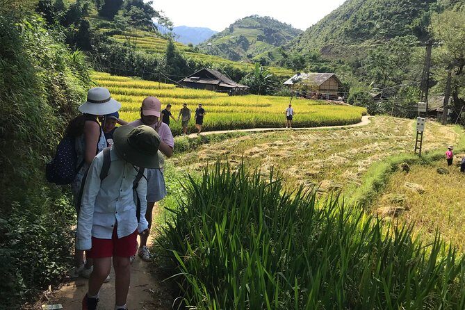 From Hanoi: 3 Days Luxury Sapa Trek & Fansipan Peak with Dcar - Authentic Experiences & Real Traveler Insights