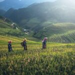 From Hanoi: 3 Days Sapa Trekking & Ethnic Villages by Dcar - Authentic Experiences & Cultural Highlights