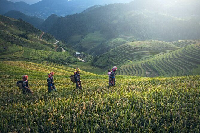 From Hanoi: 3 Days Sapa Trekking & Ethnic Villages by Dcar - Authentic Experiences & Cultural Highlights