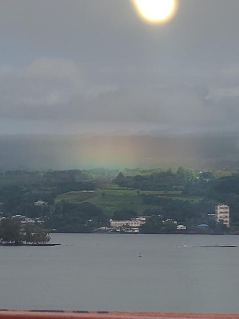 From Hilo: Hawaii Volcanoes National Park Tour - The Logistics and Value
