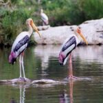 From Jaipur: Bird Safari and Agra sightseeing All-Inclusive - Transportation and Logistics