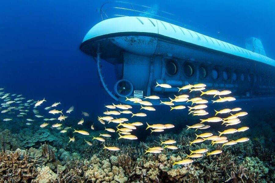From Kona: Big Island Underwater Submarine Adventure - The Guides and Narration