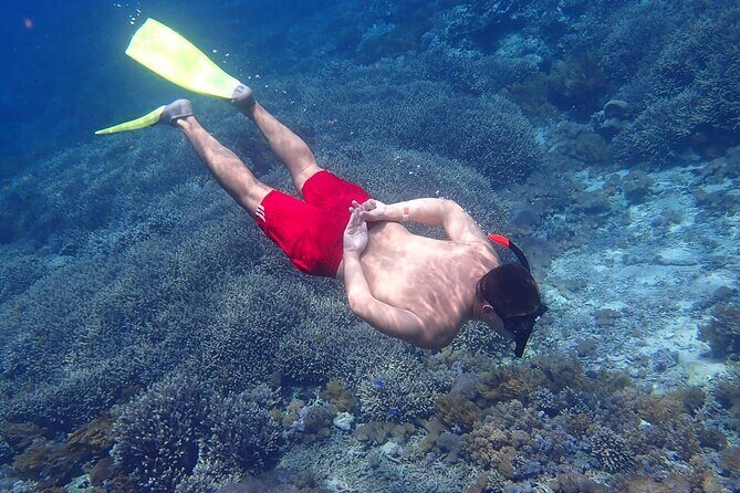 From Lembongan: Snorkeling Day Trip to Nusa Lembongan & nusa Penida island - The Experience and the Guides