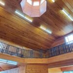 From Lexington: Kentucky Horse Farms Tour - The Value of the Experience