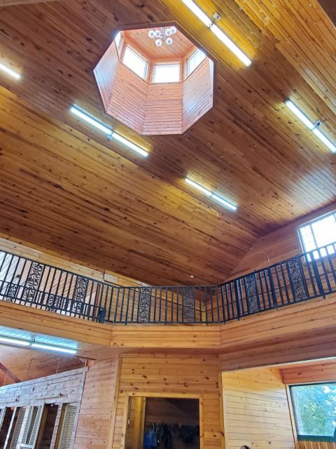 From Lexington: Kentucky Horse Farms Tour - The Value of the Experience