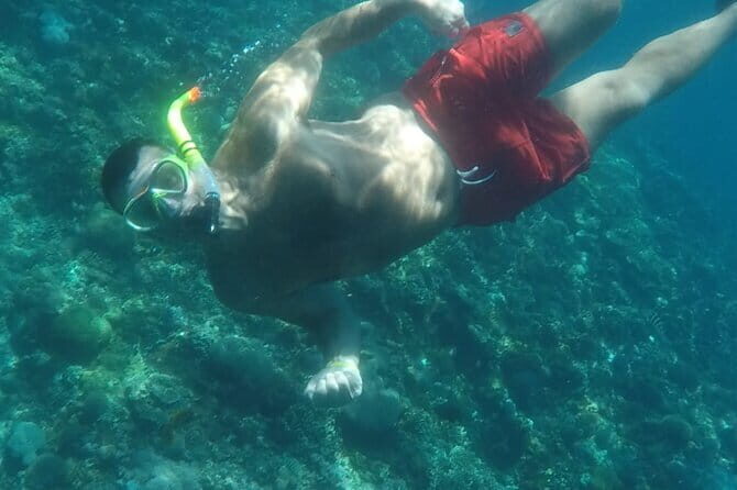 From Nusa Lembongan Manta Snorkeling Trips with Pickup Included - Authentic Experiences and Guest Insight