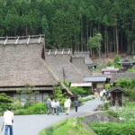 From Osaka/Kyoto: Amanohashidate & Miyama 1-Day Bus Tour w/ Meal - Practical Details and Tips