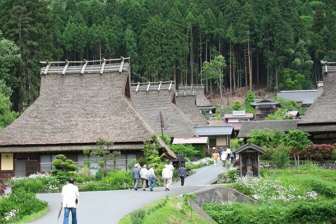 From Osaka/Kyoto: Amanohashidate & Miyama 1-Day Bus Tour w/ Meal - Practical Details and Tips