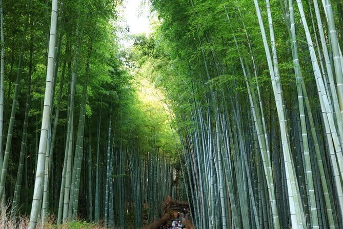 From Osaka: Kyoto Must-see Spots & Nara Park Sightseeing Day Tour - Transportation and Group Dynamics
