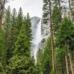 From San Francisco: Yosemite National Park Guided Day Trip - The Highlights: Why Travelers Keep Coming Back