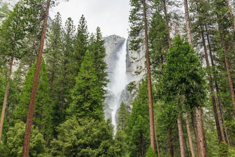 From San Francisco: Yosemite National Park Guided Day Trip - The Highlights: Why Travelers Keep Coming Back