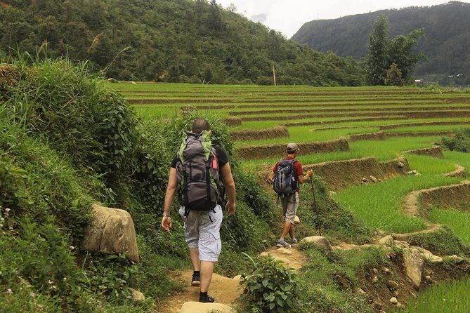 From Sapa: 2-Day Homestay trekking Tour - The Sum Up