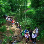 From Sapa: 2 Days Trekking Tour With Local Guide - An In-Depth Look at the 2-Day Sapa Trekking Tour