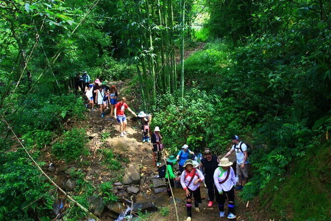 From Sapa: 2 Days Trekking Tour With Local Guide - An In-Depth Look at the 2-Day Sapa Trekking Tour