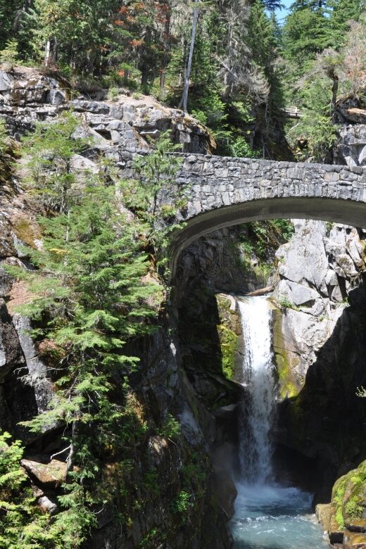 From Seattle: Customized Mount Rainier Tour - The Overall Value and Experience