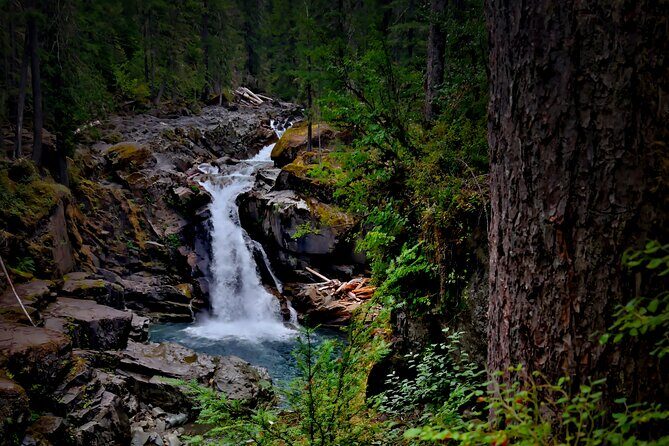 From Seattle: Private Tour to Mt. Rainier - Why Choose a Private Tour?