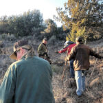 From Sedona: Archeology and Nature Hike - FAQ