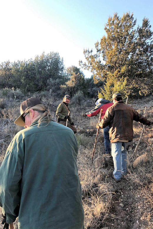 From Sedona: Archeology and Nature Hike - FAQ