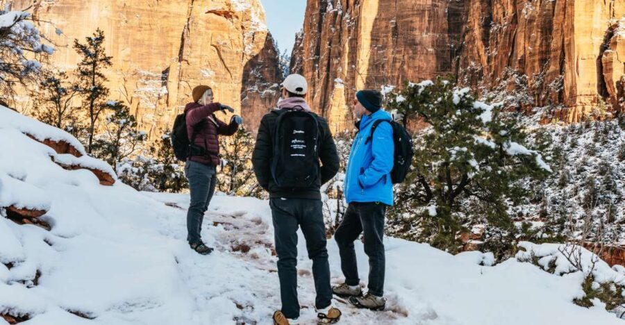 From Springdale: 4-hour Zion Canyon Scenic Hiking Tour - Authentic Experiences: What Past Hikers Say