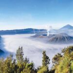 From Surabaya: Mount Bromo Sunrise Private Day Trip - The Journey to Mount Bromo
