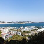 From Tokyo: Kamakura & Enoshima 1-Day Bus Tour - Who is This Tour Best Suited For?