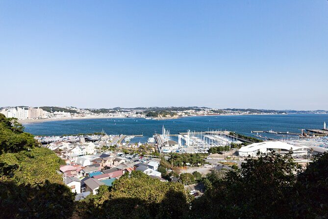 From Tokyo: Kamakura & Enoshima 1-Day Bus Tour - Who is This Tour Best Suited For?