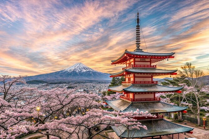 From Tokyo: Mt Fuji and Hakone Private Day Trip - FAQ
