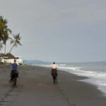 From Ubud 1 Hour Horse Riding at The Beach Experiences - The Itinerary in Detail