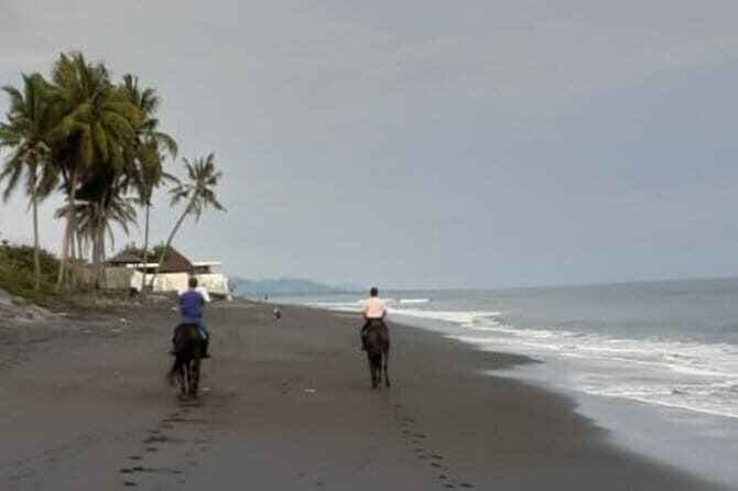 From Ubud 1 Hour Horse Riding at The Beach Experiences - The Itinerary in Detail