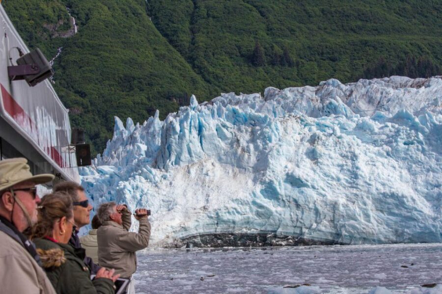 From Valdez: 7.5-hour Meares Glacier & Wildlife Cruise - An In-Depth Look at the Experience