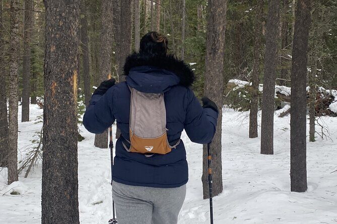 Frozen Waterfall Snowshoe Tour Estes Park - What’s Included and What to Expect