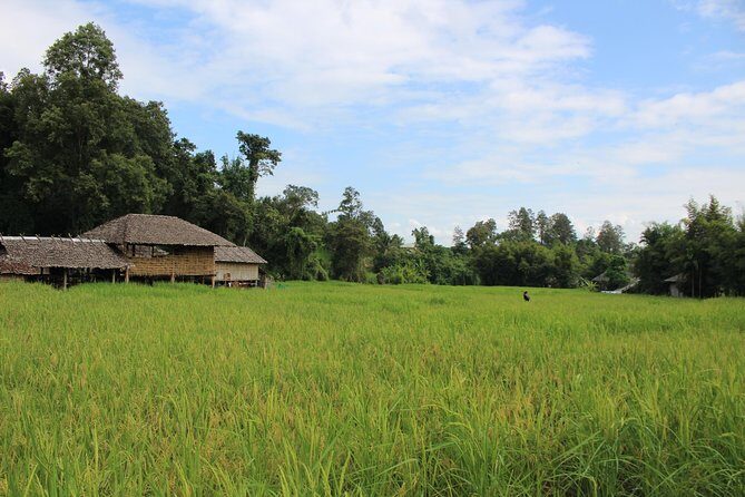 Fruiful Oneday! Trip outskirt of a City from end to end - Who Is This Tour Best For?