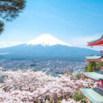 Fuji and Lake Kawaguchi Tour - Practicalities & Value