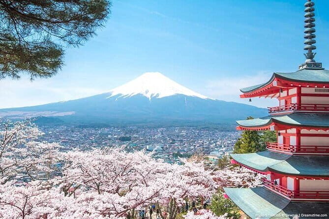 Fuji and Lake Kawaguchi Tour - Practicalities & Value