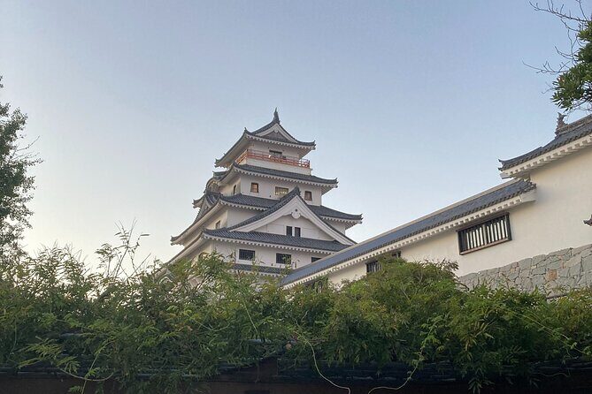 Fukuoka to Nagasaki 2 day/ 1 night tour - Who Should Consider This Tour?
