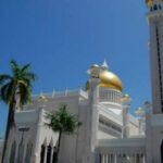 Full Brunei Experience - City Excursion - Water Village and Mangrove Safari - Who Is This Tour Best For?