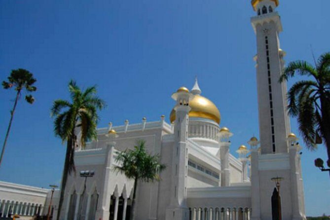 Full Brunei Experience - City Excursion - Water Village and Mangrove Safari - Who Is This Tour Best For?