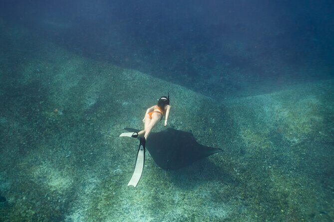 Full-Day Adventure Tour to komodo Island with join Speed Boat tur - Introduction to the Komodo Island Full-Day Tour