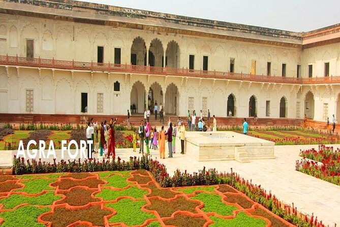 Full Day Agra Tour by Gatimaan Express Train - Authentic Experiences and Review Insights