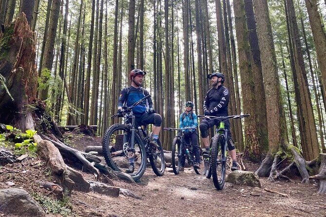 Full Day All Inclusive Mountain Bike Tour from Seattle - Duthie Hill Park: A Perfect Starting Point