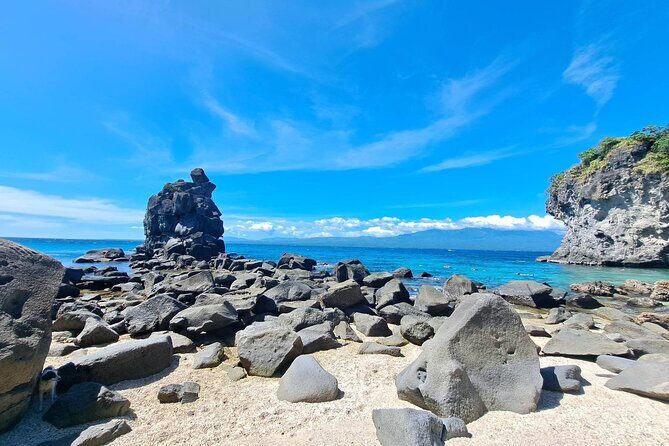 Full Day Apo Island Tour from Dumaguete - Critical Considerations