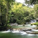 Full Day Appleton Rum YS Falls & Pelican Bar Group Tour - Practicalities and Logistics