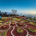 Full day Ba Na Hill with Cable Car and Lunch from Da Nang - Final Thoughts