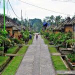 Full Day Batur Volcano and Besakih Temple Tour - Who Is This Tour Best Suited For?