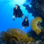 Full-Day Beginner Scuba Course with Private Tuition, Racha Yai - Authentic Experiences from Reviewers
