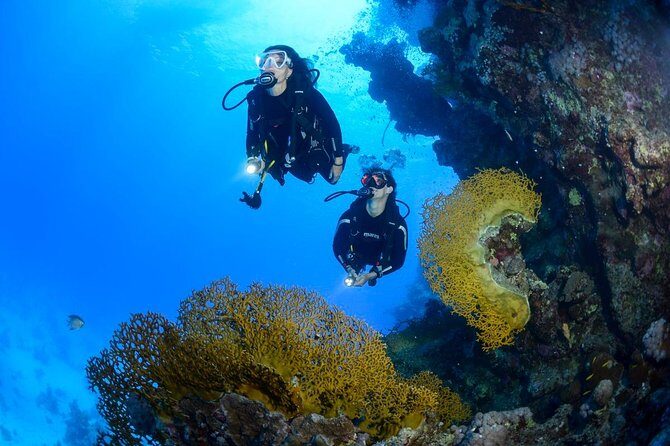Full-Day Beginner Scuba Course with Private Tuition, Racha Yai - Authentic Experiences from Reviewers